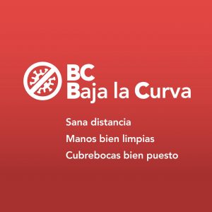 Proyecto, Covid-19 , sociedad