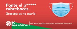 Proyecto, Covid-19 , sociedad