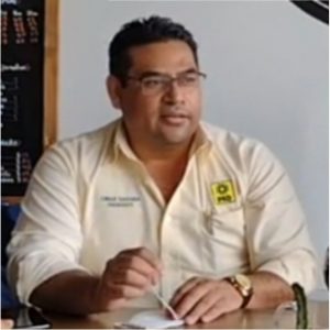 PRD, partidos políticos, PRI, PAN, militantes