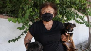 Rescate, perros, comida, croquetas