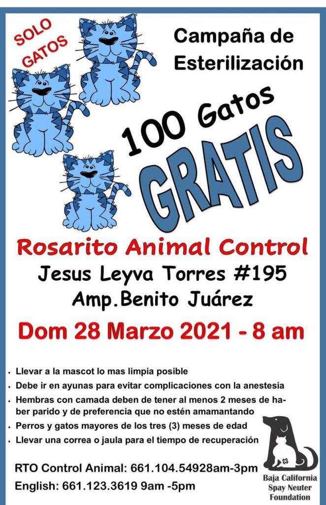 Gatos, esterilización, control animal