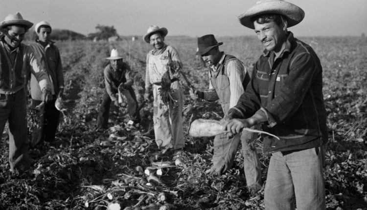 Tijuana, Braceros, Gobierno
