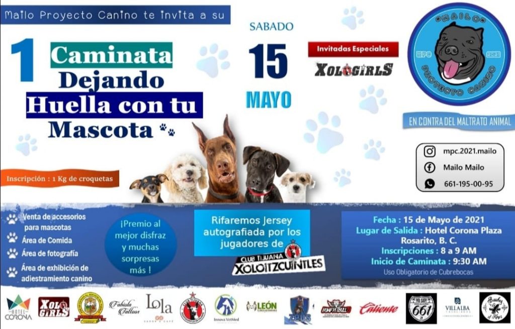Perros callejeros, Animalistas, Perritos