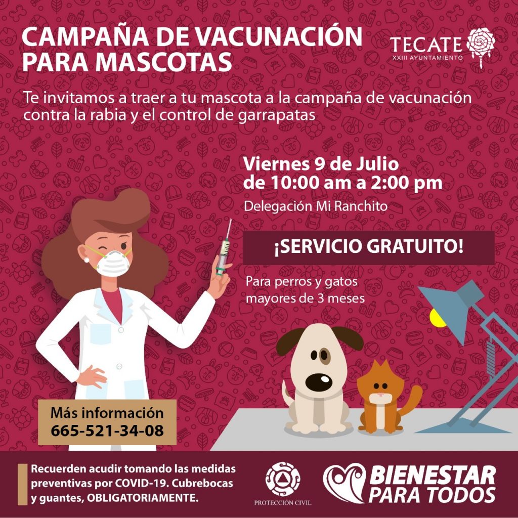 Vacuna, Mascotas