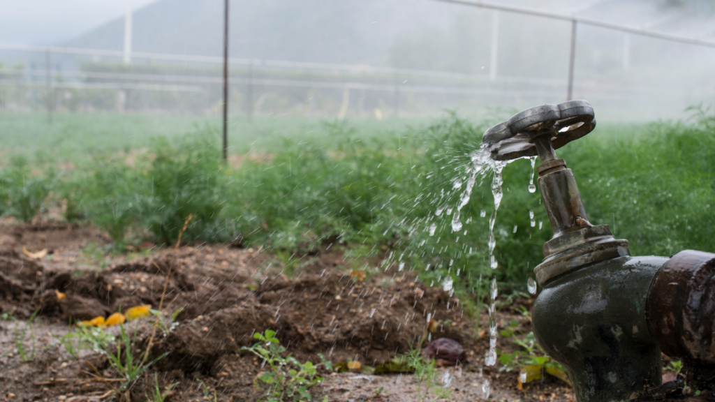 Baño, el que mas agua gasta en los hogares: CIGA