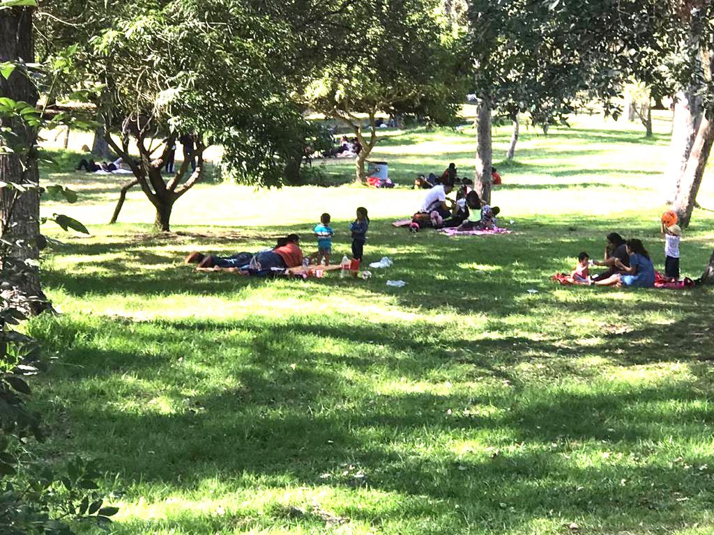 El Parque Morelos, ubicado sobre el bulevar Insurgentes, con una superficie de 47 hectáreas, fue inaugurado en 1987 y desde 1998 pasó a la administración municipal