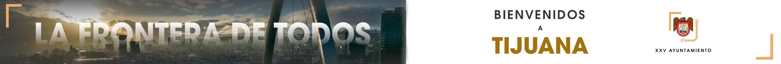spot_img